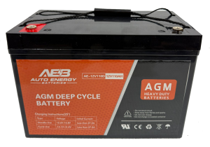 Auto Energy AE-12V110D