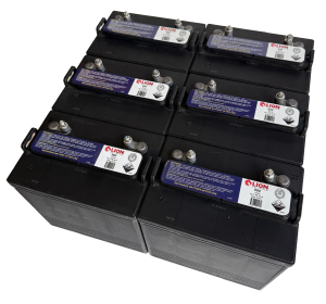 Lion 880 - T875 (8Volt Battery Set) (SET OF 6 BUNDLE CLEARANCE DEAL) (1 SET OF 6 LEFT)
